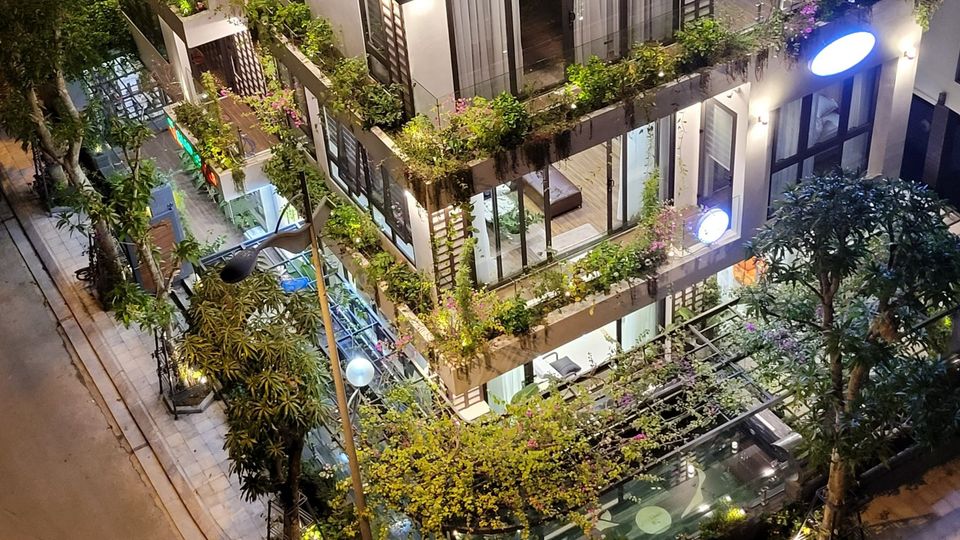 Thiết kế cảm hứng từ những chiếc lá.