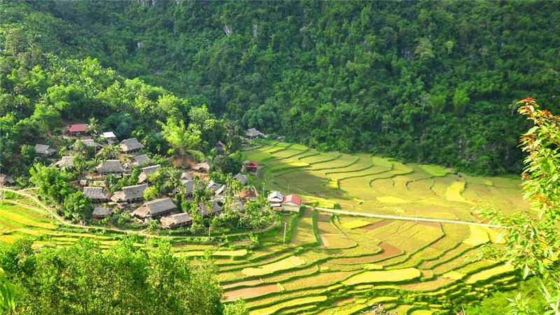 Khu bảo tồn thiên nhiên Pù Luông