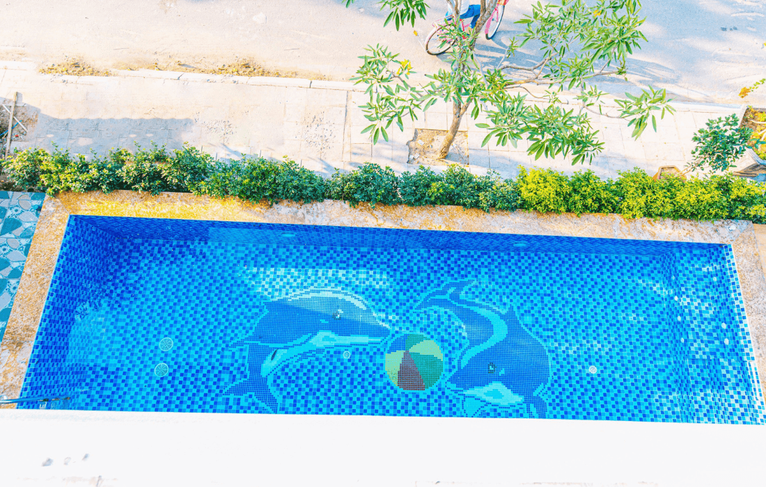 Bể bơi tạo hình 2 chú cá heo vô cùng dễ thương